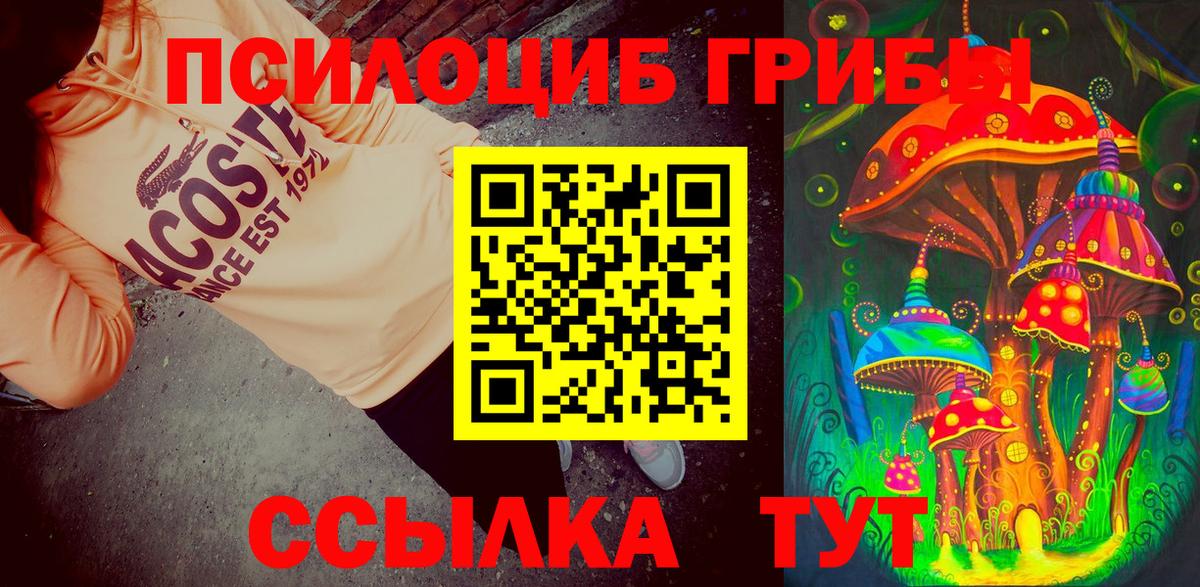 хочу   Вход с VPN  Туапсе  Псилоцибиновые грибы MAGIC MUSHROOMS 